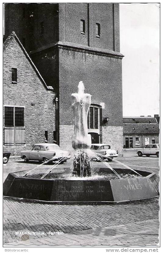 HOLLANDE - CPSM - WAGENINGEN - FONTEIN - Wageningen