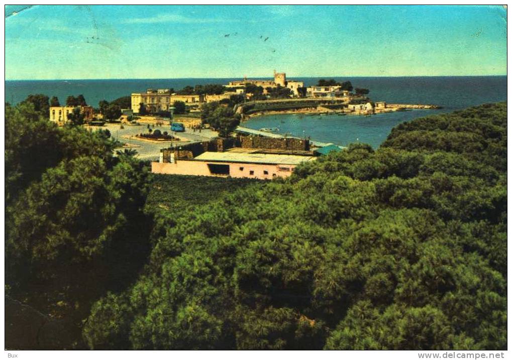 TRANI  BARI PUGLIA   VIAGGIATA  COME DA FOTO BOLLO ASPORTATO PIEGOLINE - Trani