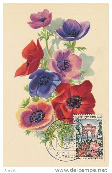 Carte Maximum,Maxi Cards, Les Floralies Parisiennes - Other & Unclassified