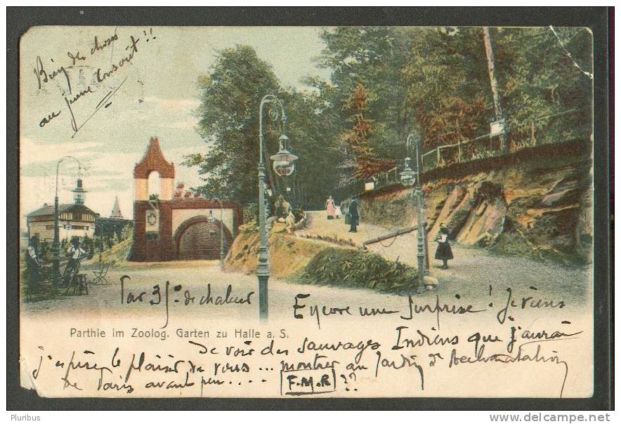 HALLE, ZOO,  OLD POSTCARD USED 1902 - Halle (Saale)