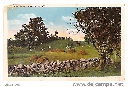 SCENE NEAR MIDDLEBURY . VT. - Altri & Non Classificati