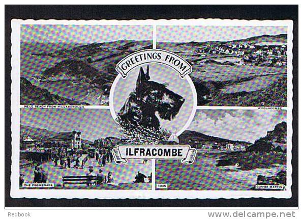 1961 Postcard Scottie Dog & Mutiviews Of Ilfracombe Devon - Ref 428 - Ilfracombe