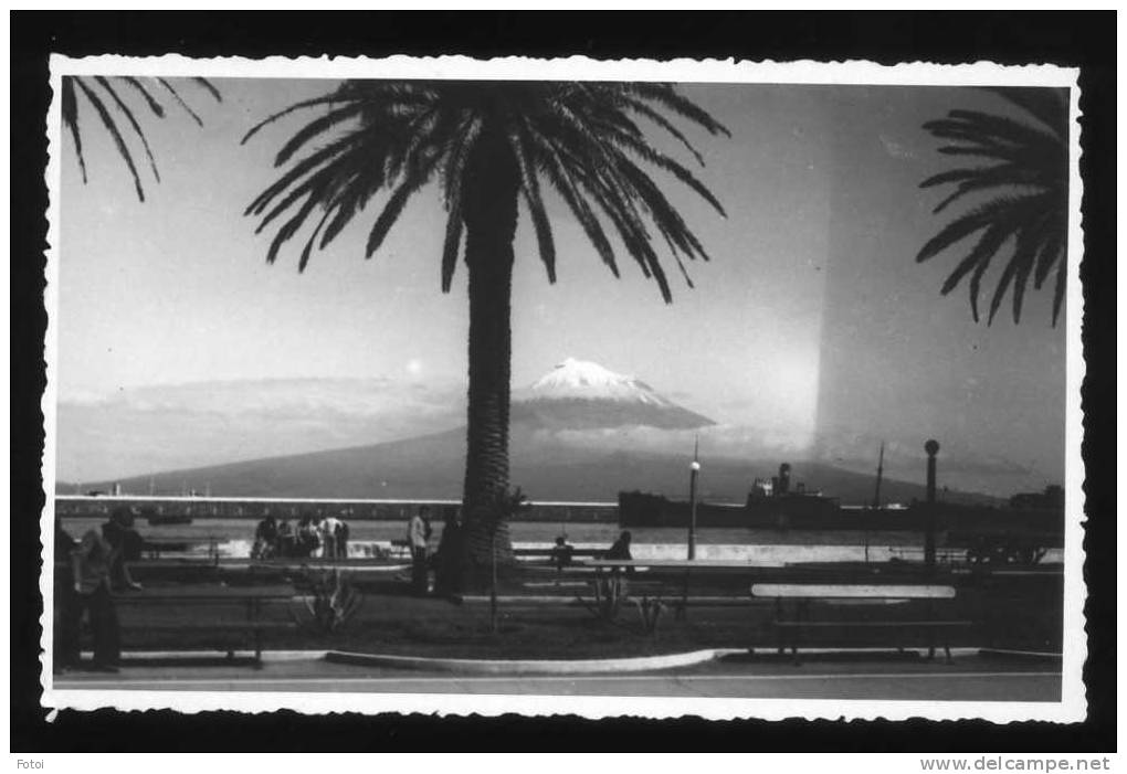 OLD REAL PHOTO POSTCARD HORTA FAIAL PICO  AÇORES AZORES SHIP CARTE POSTALE - Açores