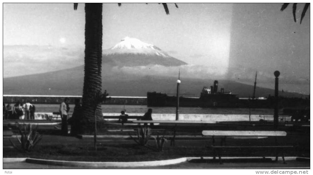 OLD REAL PHOTO POSTCARD HORTA FAIAL PICO  AÇORES AZORES SHIP CARTE POSTALE - Açores