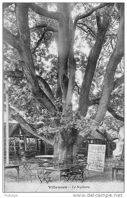 LE SOPHORA - Villennes-sur-Seine