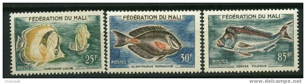 Rep. Mali** N° 2 à 8  - Poissons - Mali (1959-...)