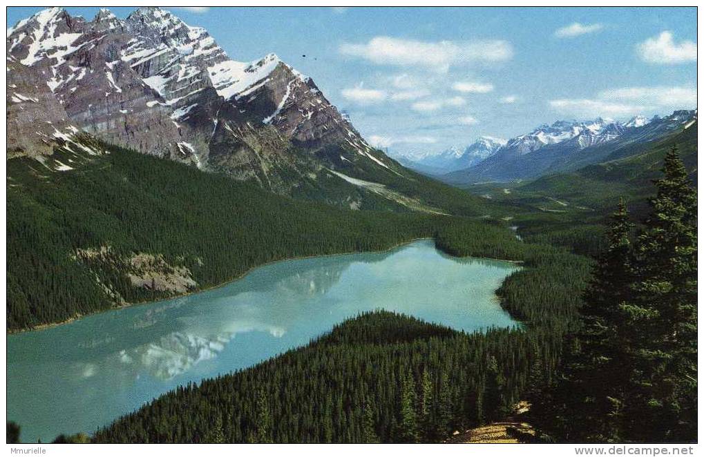 CANADA-THE CANADIAN ROCKIES In Natural Color-Beautiful Peyto Lake Ans Mount Patterson-MB - Sonstige & Ohne Zuordnung