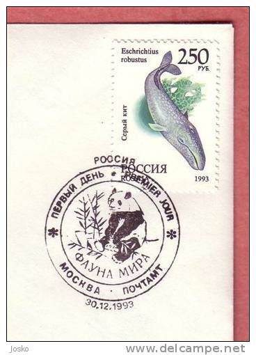 GRAY WHALE  - Eschrichtius Robustus  ( Russia FDC ) * Grey Whale * Baleine Ballena Balena Orca Wal Whales Wals * Polar - Baleines