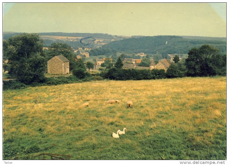 Haltinne - Panorama De Labas - Gesves