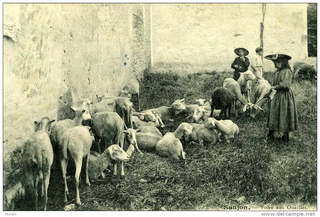 17 .  SAUJON .  FOIRE AUX OUAILLES . ( Carte Coupée ) - Saujon