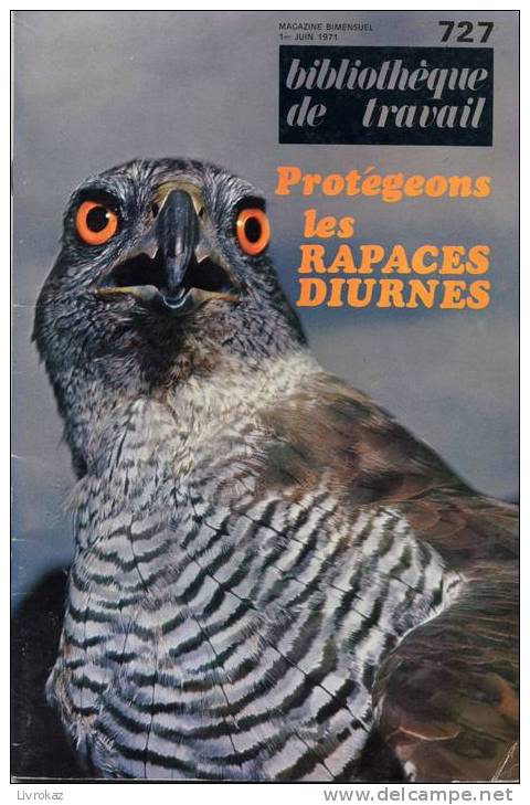 BT N°727 (1971) : Protégeons Les Rapaces Diurnes. Milan, Busard, Buse, Faucon, Grand Duc, Autour, épervier... Freinet. - 6-12 Years Old