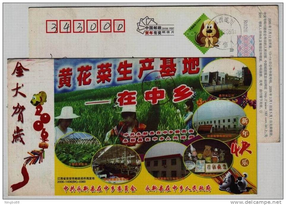 Planting Base Of Daylily Flower,greenhouse Vegetables,textile,CN06 Yongxin Industry Advertising Pre-stamped Card - Gemüse