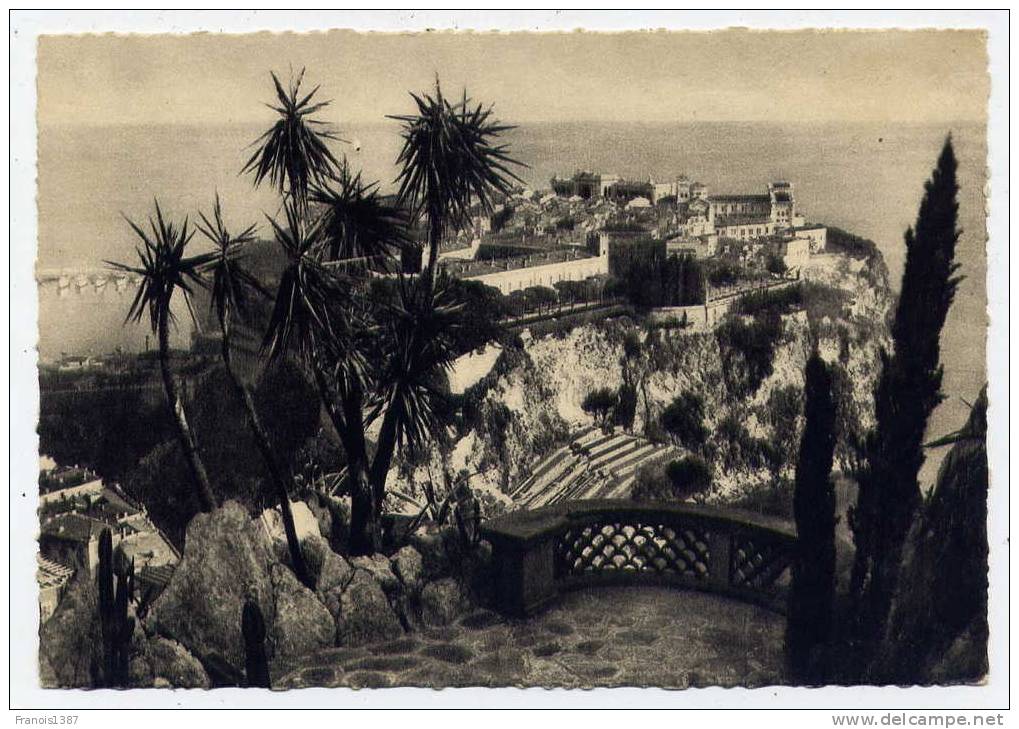 Ref 151 - MONACO - Le Rocher De Monaco Vu Des Jardins Exotiques - 1950 (Carte Semi-moderne Grand Format) - Exotic Garden