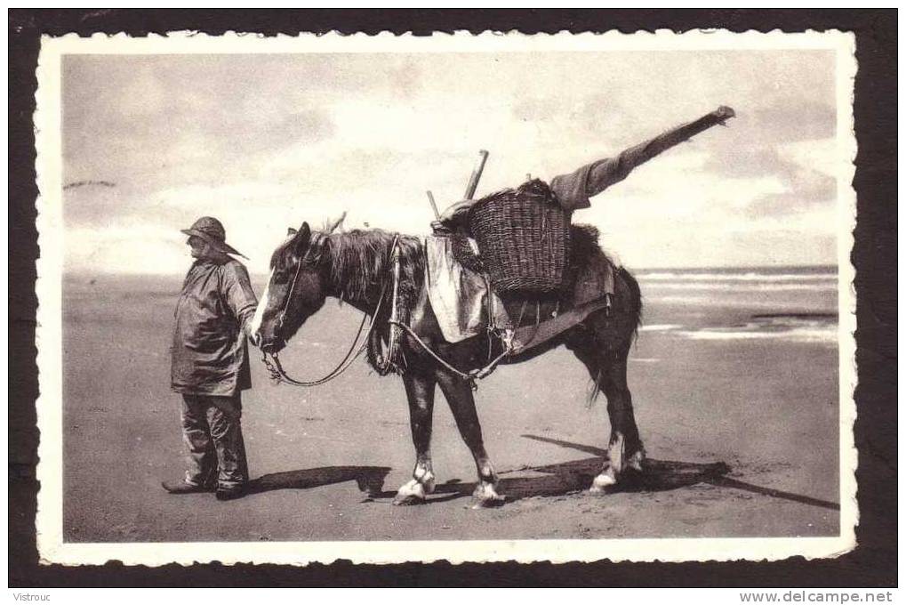 WESTENDE - Le Pêcheur De Crevettes Avec Cheval - Terugkomst Van De Garnalenvisser - Circulé - Circulated - Gelaufen. - Westende