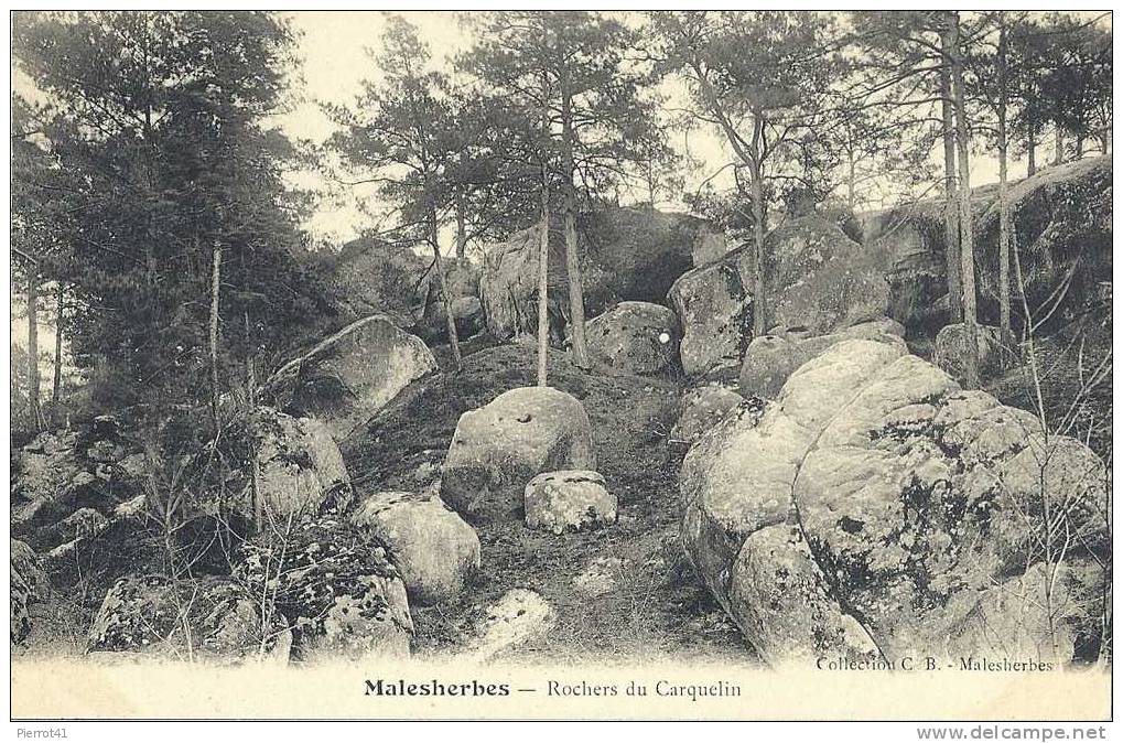 Rochers Du Carquelin - Malesherbes