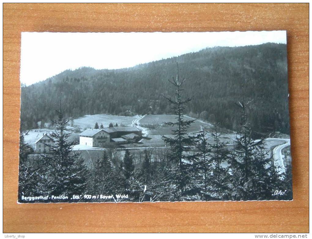 Berggasthof - Pension " ECK " / Karl Mühlbauer -  Anno 1960 !! - Cham