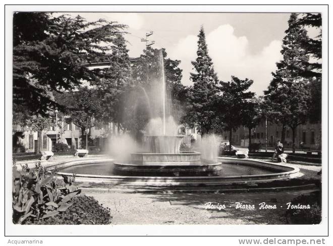 ROVIGO - Piazza Roma, Fontana - Cartolina FG BN V 1962 - Rovigo