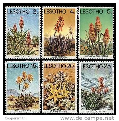 (008) Lesotho  Flowers / Fleurs / Pflanzen / Plants / Cacti / Succulents  ** / Mnh  Michel 221-27 - Lesotho (1966-...)