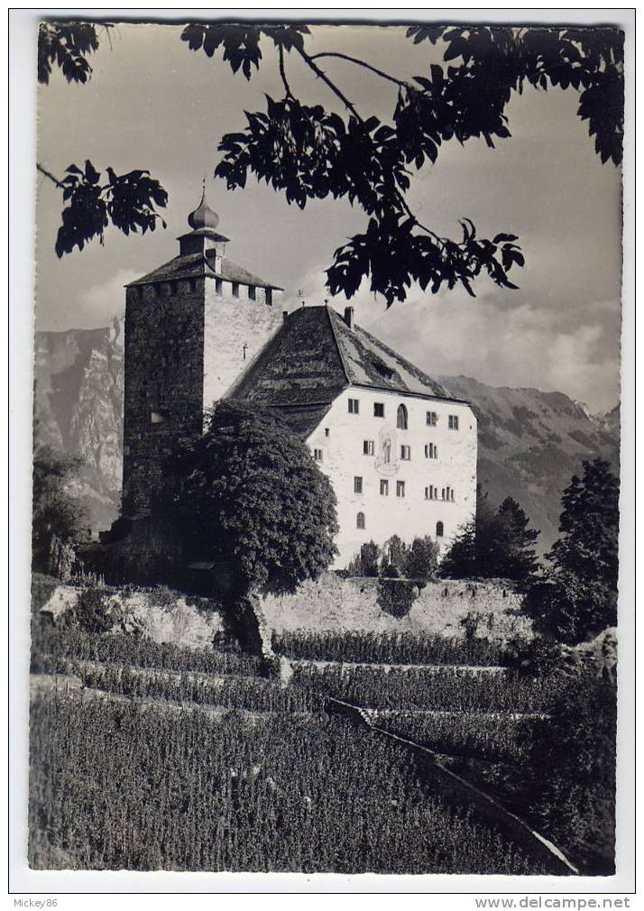 Suisse -datée 1966-- Schloss Werdenberg Bei Buchs--Ehemalige Residenz Der Grafen Von Werdenberg ,cpsm Gd Format N° 648 - Buchs