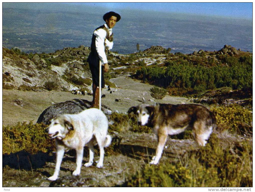 REAL PHOTO POSTCARD SERRA DA ESTRELA PASTOR DA SERRA PORTUGAL - Guarda