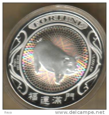 LAOS 15.000 KIP YEAR OF PIG ANIMAL ZODIAC HOLOGRAM  FRONT EMBLEM BACK 2007 PROOF SILVER   READ DESCRIPTION CAREFULLY !!! - Laos