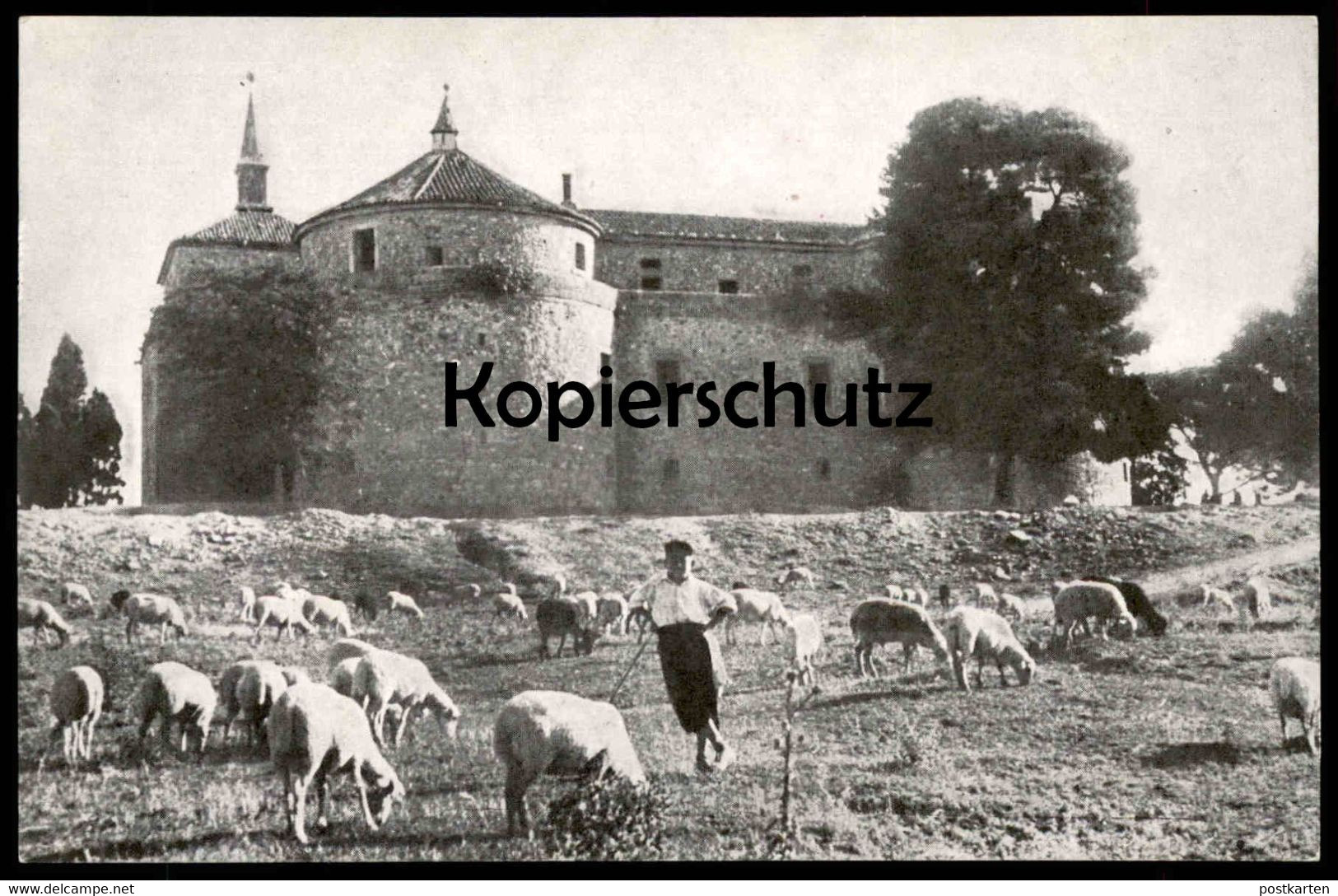 ÄLTERE POSTKARTE CASTILLO DE VILLAVICIOSA DE ODÓN Sheep Herde Hirte Schafe La Oveja Castle Cpa Postcard Ansichtskarte - Madrid