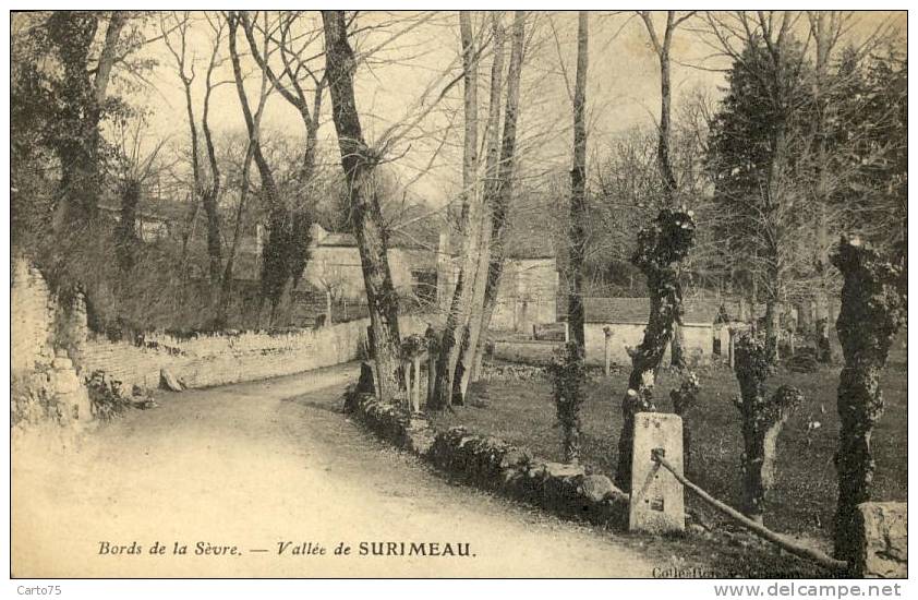 Bords De Sèvre 79 - Vallée De Surimeau - Autres & Non Classés