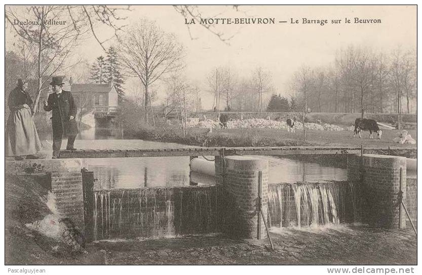 CPA LA MOTTE-BEUVRON - LE BARRAGE SUR LE BEUVRON - Lamotte Beuvron