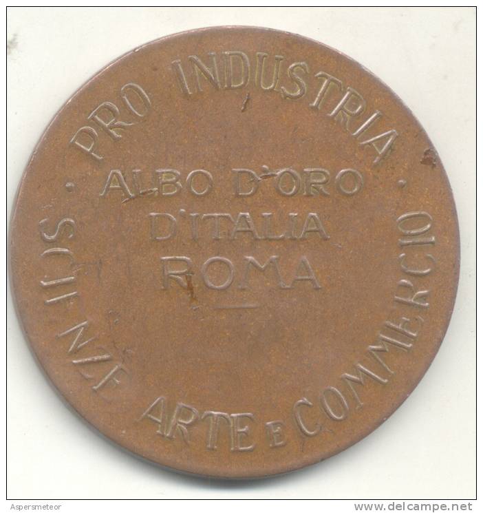 PRO INDUSTRIA SCIENZE ARTE E COMMERCIO ALBO D'ORO D'ITALIA ROMA ROME MEDAGLIA - Other & Unclassified