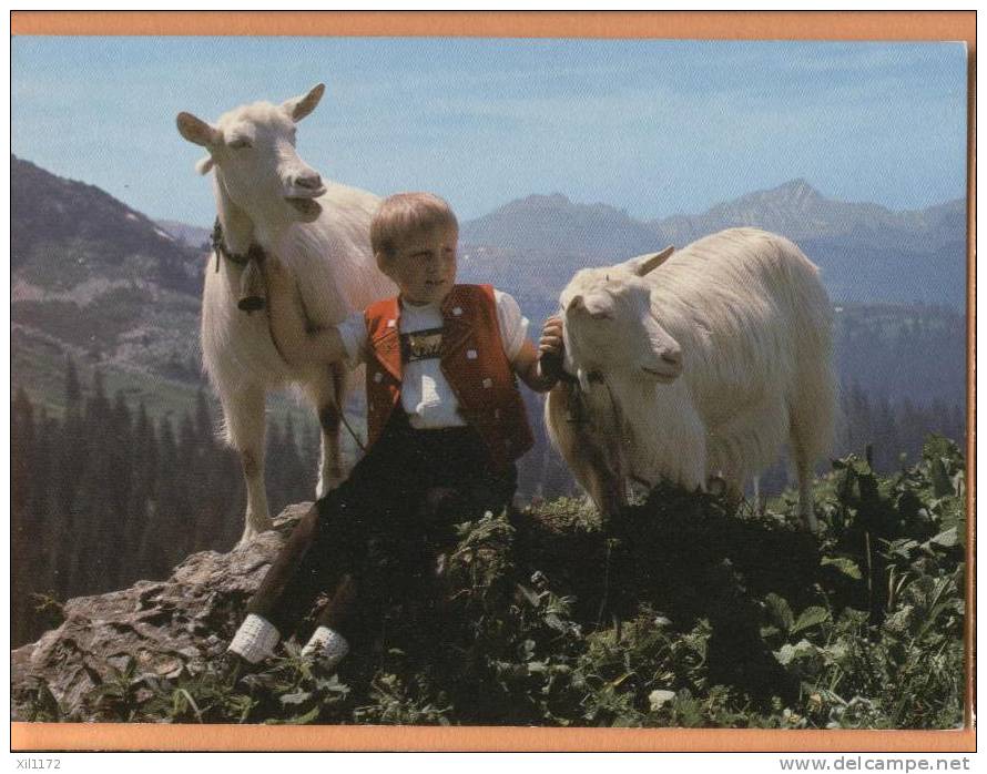 F617 Jeune Berger Armailli Avec 2 Chèvres,Ziegen,Goat,capre,geiten. - Berg