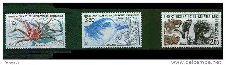 1989-Taaf-Fauna-Yvert 140/42 - Nuovo Senza Linguella - Nuevos