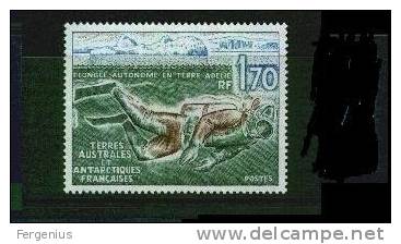 1989-Taaf-Immersioni-Yver T 146- Nuovo Senza Linguella - Unused Stamps