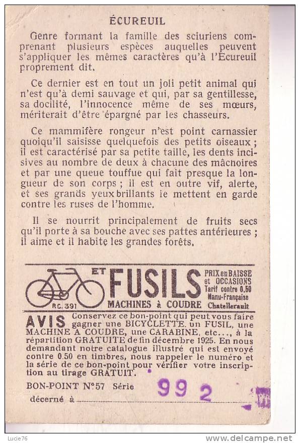 IMAGE  BON POINT  N° 57  Série 992 - Cycles Et Fusils - Manu Française -  ECUREUIL - Autres & Non Classés