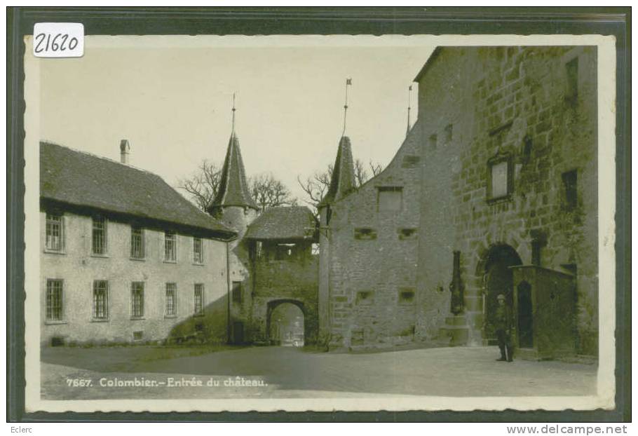 COLOMBIER - ENTREE DU CHATEAU - TB - Colombier