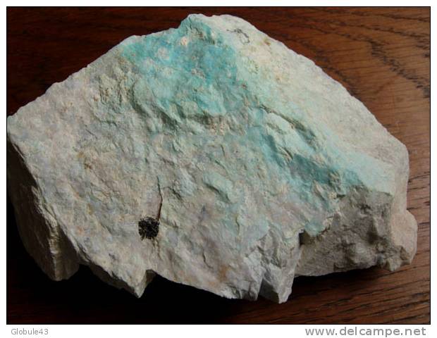 TURQUOISE ET AMBLYGONITE MONTEBRAS CREUSE 12 X 7 CM - Mineralien