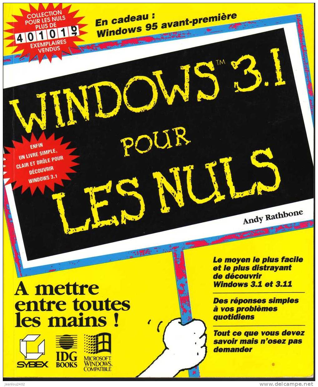 WINDOWS 3.1 POUR LES NULS!!! - Informatique