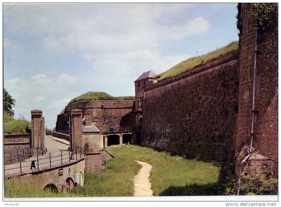 MONTMEDY--datée 1991--Porte Et Pont-Levis De La Citadelle  Cpm éd Europ - Montmedy