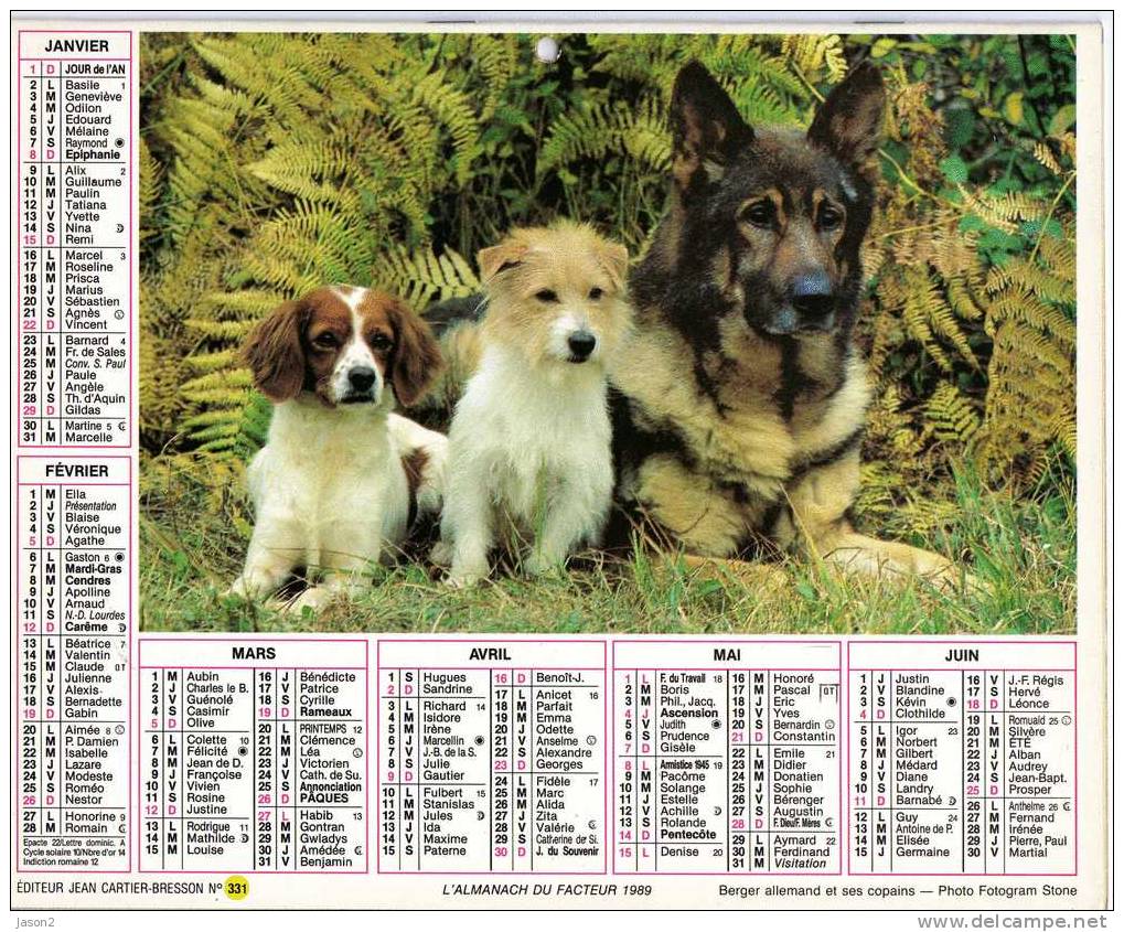 Almanach Du Facteur 1989 ( Berger Allemand Et Ses Copains) (chien Cairn Terrier) Editeur Jean Cartier Bresson No 331 - Grand Format : 1981-90