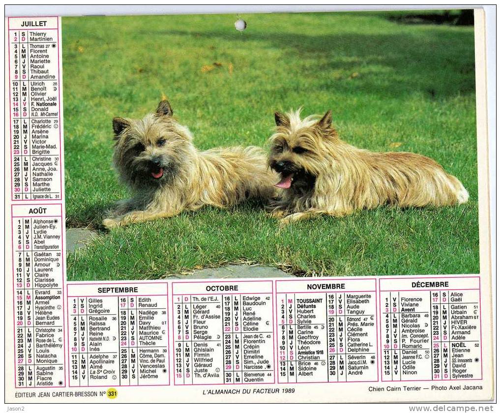 Almanach Du Facteur 1989 ( Berger Allemand Et Ses Copains) (chien Cairn Terrier) Editeur Jean Cartier Bresson No 331 - Big : 1981-90