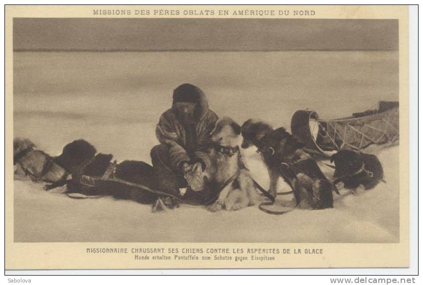 Amérique Du Nord Mission Des Pères Oblats Missionnaire Chaussant Ses Chiens Contres Les Aspérités De La Glace - Altri & Non Classificati