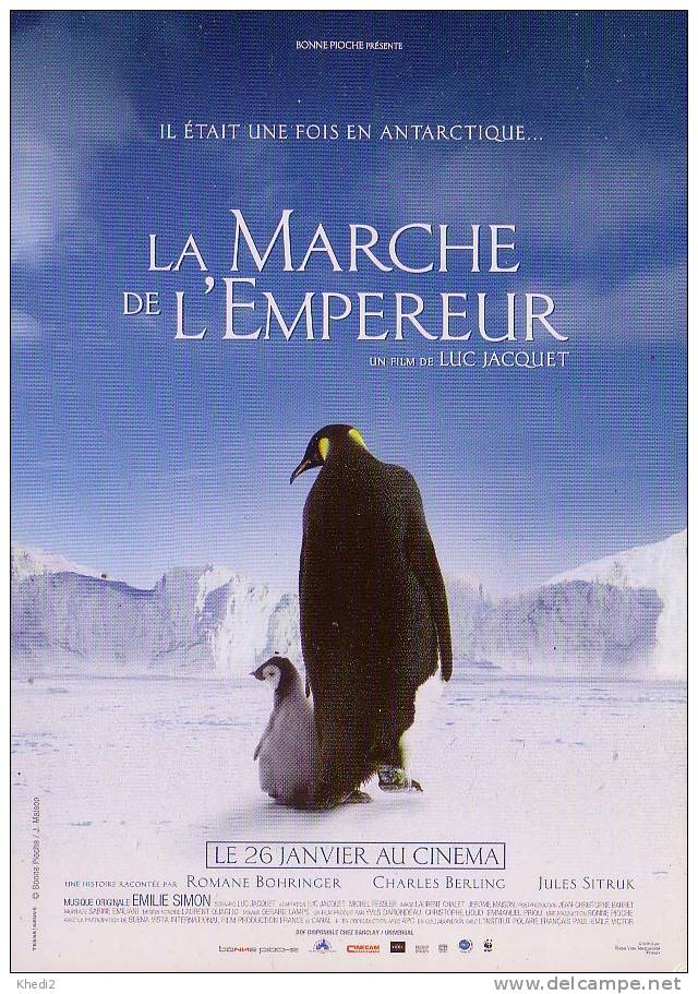 CP Neuve Antarctique - Oiseau MANCHOT - La Marche De L´Empereur - PENGUIN Postcard - PINGUIN Postkarte - 07 - Oiseaux