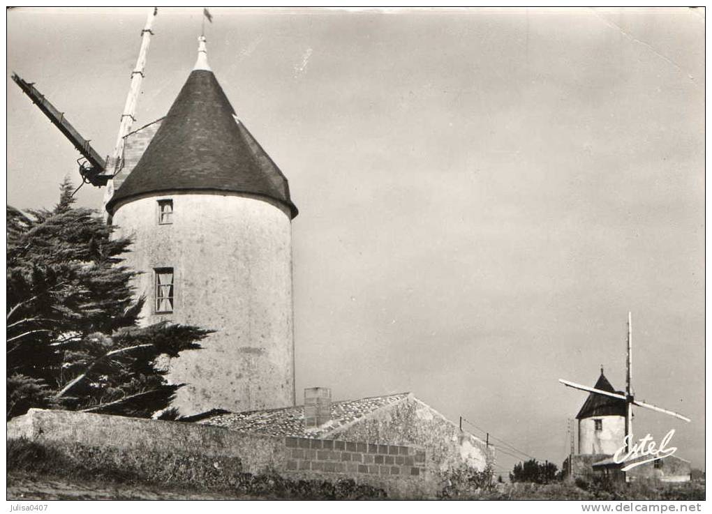 ILE DE NOIRMOUTIER (85) Moulin à Vent De La Guerinière - Ile De Noirmoutier