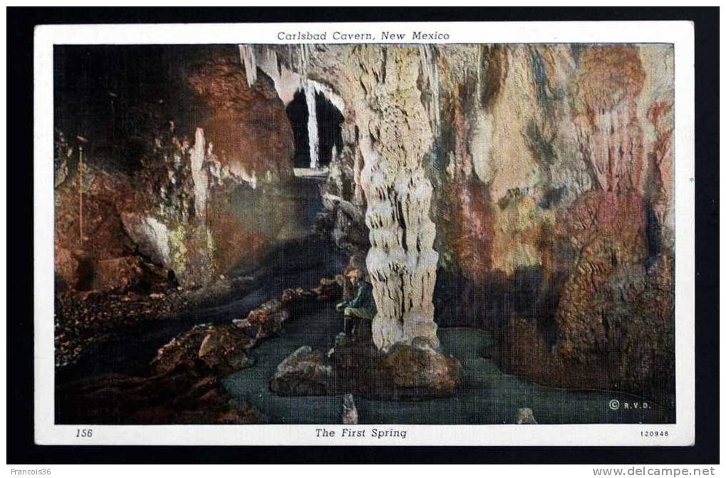 New Mexico - Carlsbad Cavern - The First Spring - National Park - Back Is Not Written - Autres & Non Classés