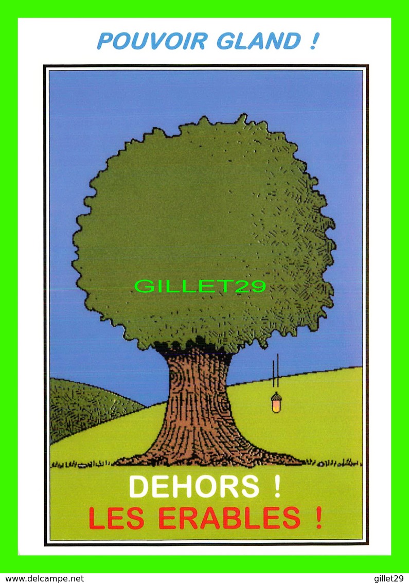 ARBRES - COLLECTION DES CHÊNES ET VOUS ! - POUVOIR GLAND ! - DEHORS ! LES ÉRABLES ! - DESSIN DE JEAN-CHARLES LETRAM - - Trees