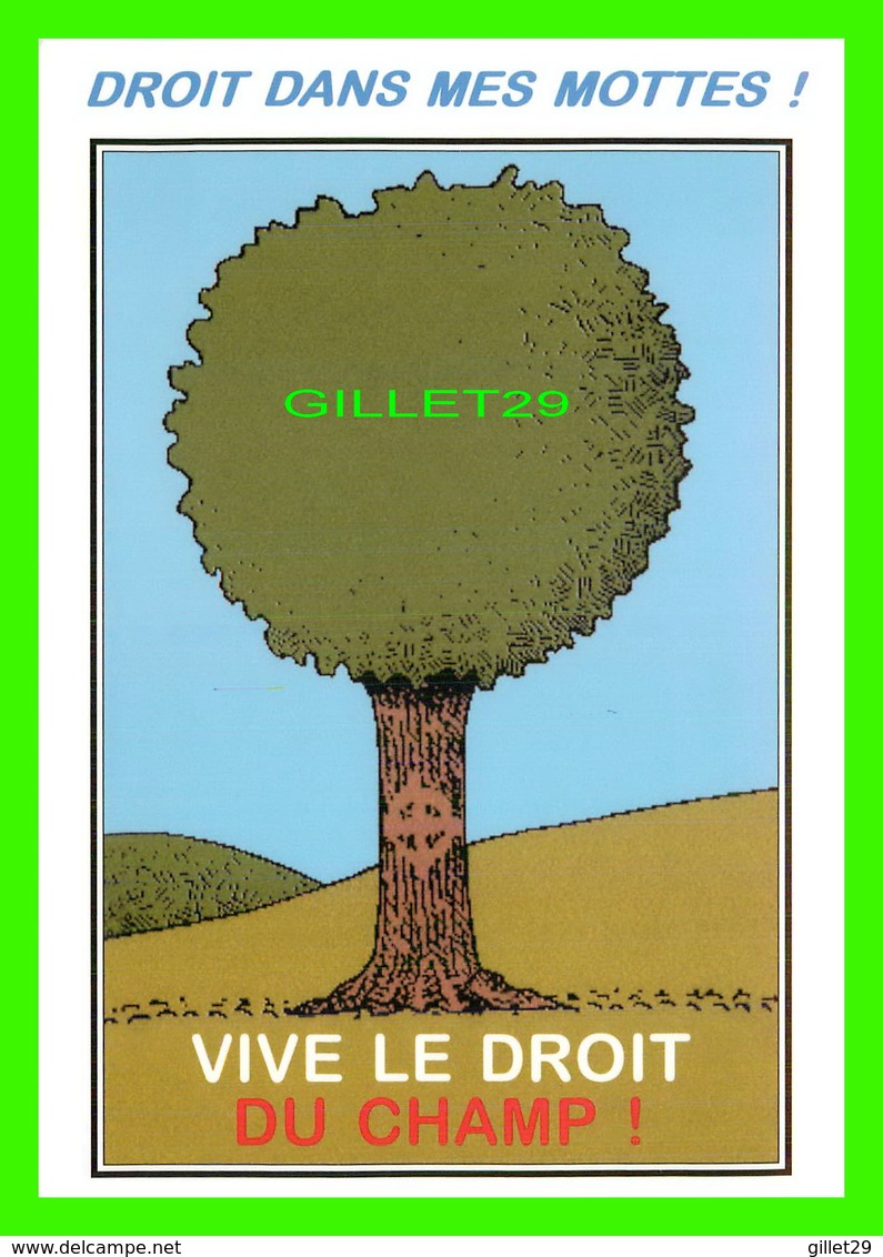 ARBRES - COLLECTION DES CHÊNES ET VOUS ! - DESSIN DE JEAN-CHARLES LETRAM - VIVE LE DROIT DU CHAMPP ! - Trees