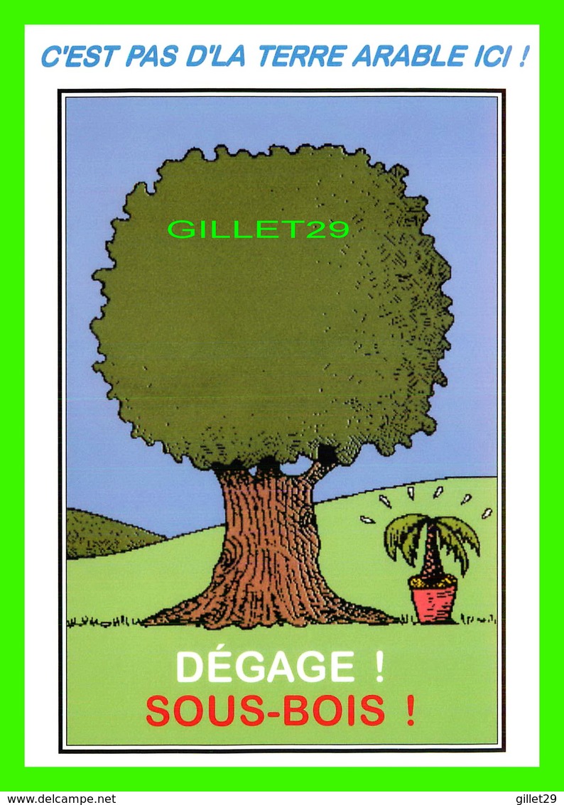 ARBRES - COLLECTION DES CHÊNES ET VOUS ! - DÉGAGE ! SOUS-BOIS ! - DESSIN DE JEAN-CHARLES LETRAM - - Bomen