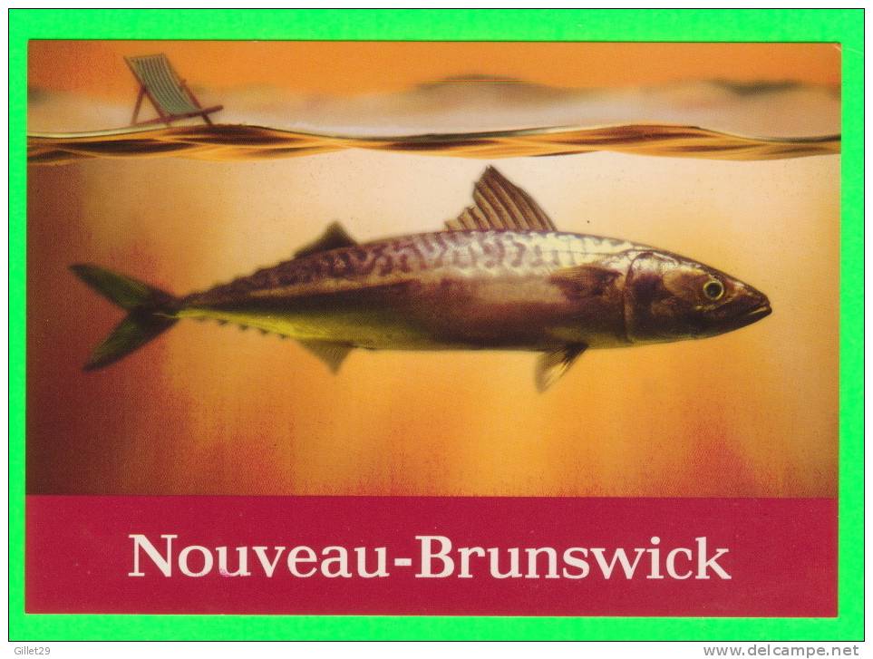 PUBLICITÉ - POISSON, MASQUEREAU - TOURISME NOUVEAU BRUNSWICK ,1998 - - Autres & Non Classés