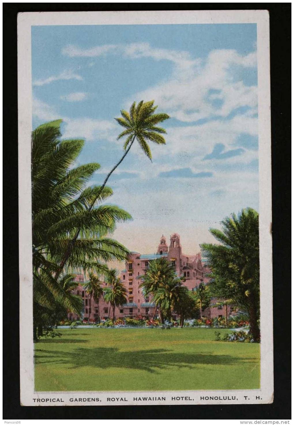 Hawai - Honolulu - Tropical Gardens - Royal Hawaiian Hotel - Back Is Not Written - Honolulu