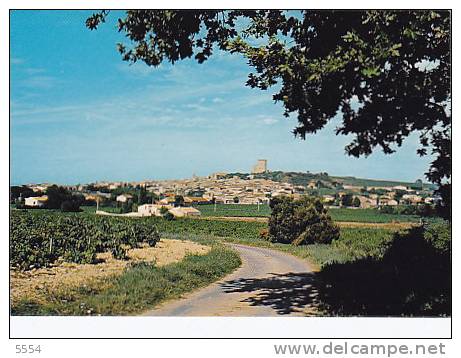 84  Vaucluse   Vue Generale - Chateauneuf Du Pape