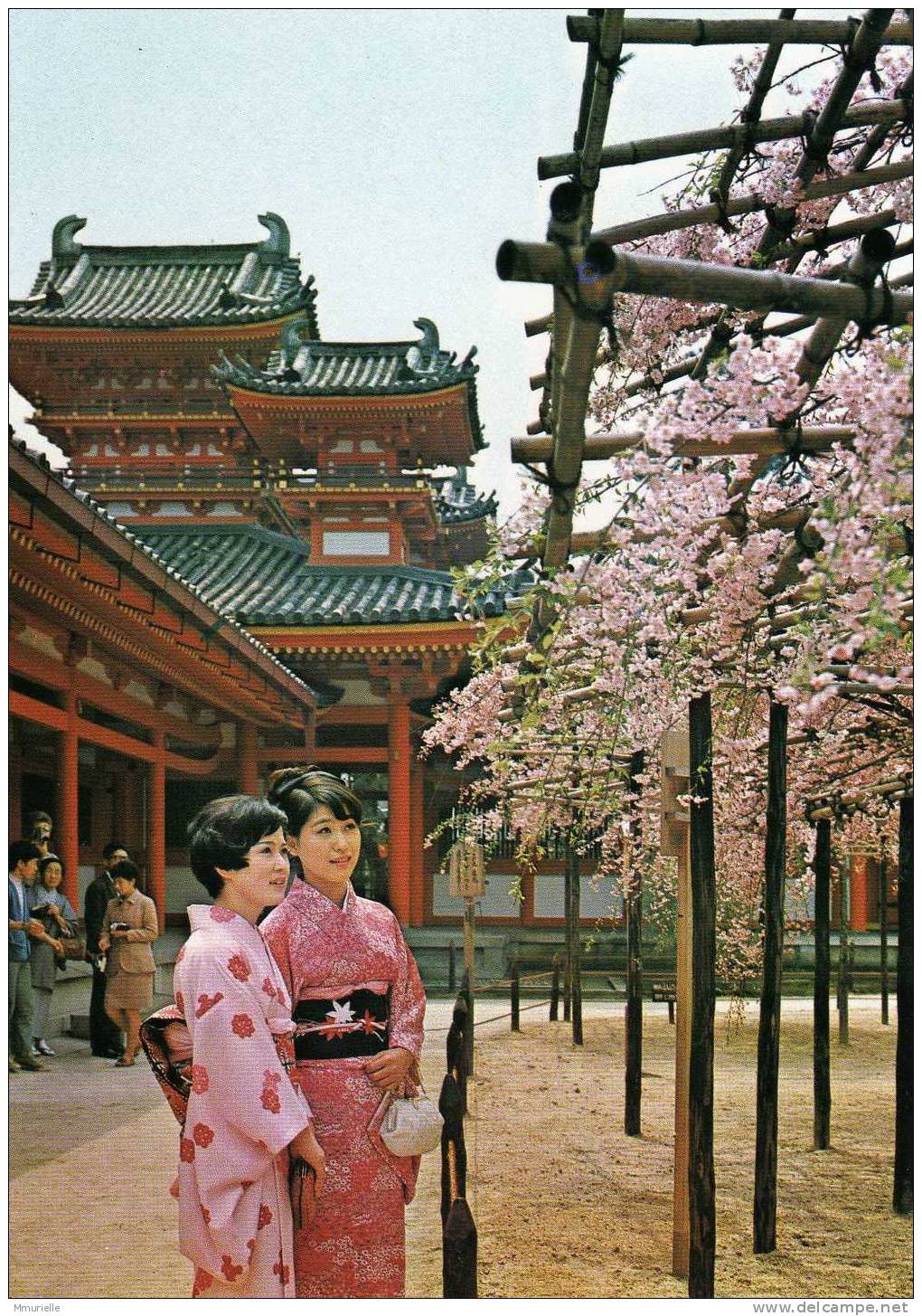 JAPON-Cherry Blossoms At The Inner Court Of The Heian Shrine Kyoto-MB - Kyoto